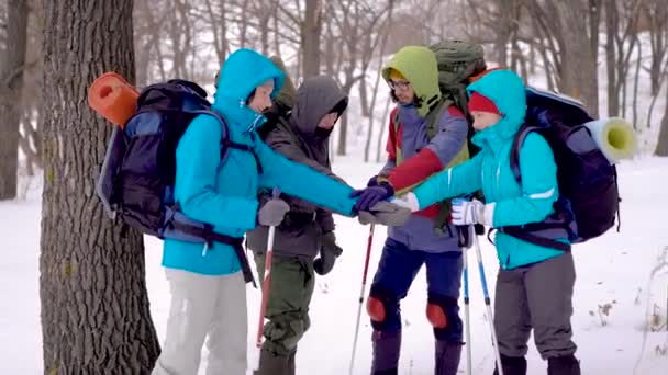 Grupo de excursionistas felices y motivados poniendo sus manos juntas en medio de un bosque de invierno, haciendo equipo . — Vídeo de stock
