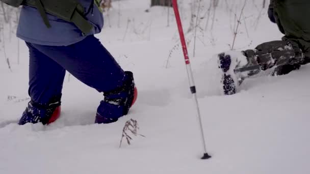 冬季森林中的徒步旅行者与滑雪杆，艰难地穿过厚厚的雪. — 图库视频影像