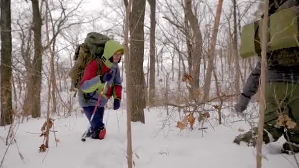 Ομάδα τεσσάρων πεζομέσων που περπατούν μέσα από βαθύ παχύ χιόνι με μεγάλες συσκευασίες του εξοπλισμού στο χειμερινό δάσος. — Αρχείο Βίντεο