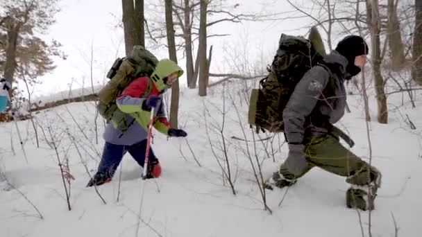 冬のアクティビティ: 4人の友人が冬に森の中でハイキングに行き、極端な旅行. — ストック動画
