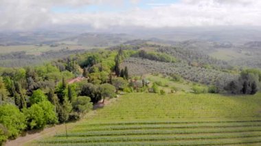 Toskana, Italya. Üzüm bağları alanlarına yukarıdan bakın. Güzel manzara, tepeler, ormanlar, ufuk alanları. Hava atışı