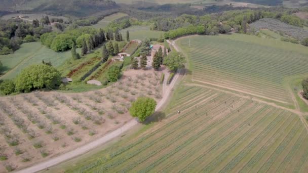 4k Disparo aéreo de viñedos, campos y árboles en Toscana, Italia en verano. — Vídeos de Stock