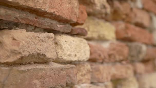 Close-up shot of a red bricks of an old building. — Stock Video