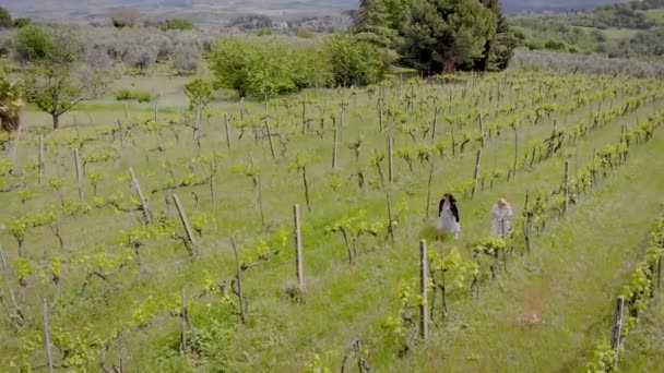 Geschoten van de drone van twee jonge vrouw wandelen in een gigaintic wijngaard en het hebben van een leuke babbel. — Stockvideo