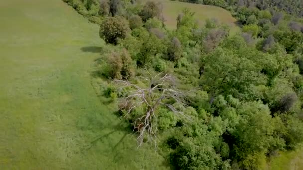 Colpo aereo. Bellissima Toscana italiana. Veduta di piccole città o ville . — Video Stock