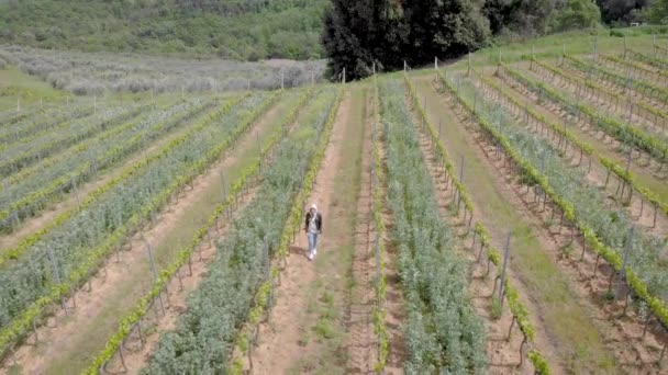 Un disparo aéreo. Hermosa Toscana italiana, y sus viñedos. Verano para la maduración de uvas . — Vídeos de Stock