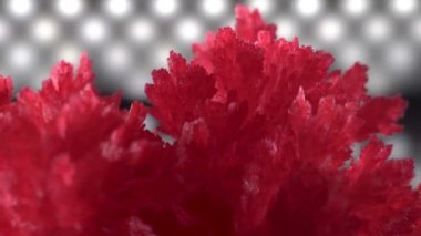 Diyot aydınlatma bir arka plan üzerinde güzel kırmızı kristaller. Kristaller yavaşça döner ve parlar. Deney