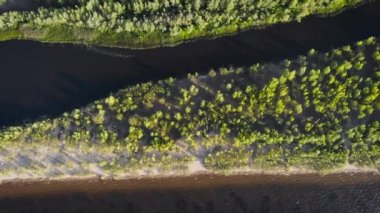 havadan çekim. Mississippi Nehri Manzaralı. Güzel bir yayılan nehir, dar kanallar, tüm bankalar yeşillik içinde.