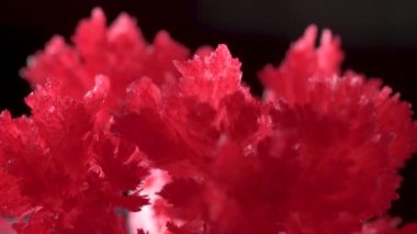 Güzel kırmızı kristaller kimyasallar ile bir ev deneyimi nin bir sonucu olarak ortaya çıktı. Kristalizasyon işlemi normal koşullarda gerçekleşti. Basit kimyasal deneyler.