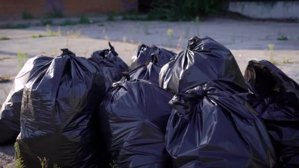 Schwarze Müllsäcke sind an Ort und Stelle. Ein Müllwagen kommt bald und bringt den Müll raus. — Stockvideo