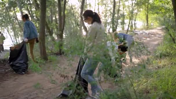 Bewusste Bürger sorgten dafür, dass der Wald vom Hausmüll befreit wurde. Freiwillige Frauen sammeln Müll in der Natur und beseitigen Umweltverschmutzung. zivilisierte Position. — Stockvideo