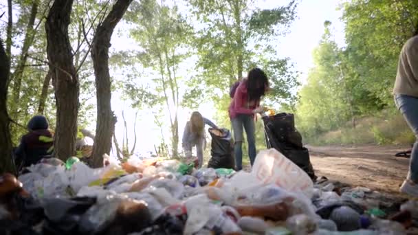 Kobiety wolontariusze likwidują duże składowiska odpadów. Nielegalne składowanie w lesie psuje naturę i ekologię. Wolontariusze sprawiają, że świat jest czystszym miejscem. — Wideo stockowe