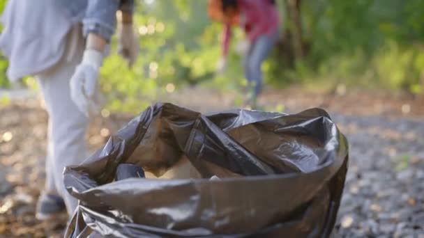 Ženský dobrovolníci dokončí úklid v přírodě. Děvčata dala velkou skládku do plastikových pytlů. Příroda se stala čistší a znečištění bylo odstraněno.