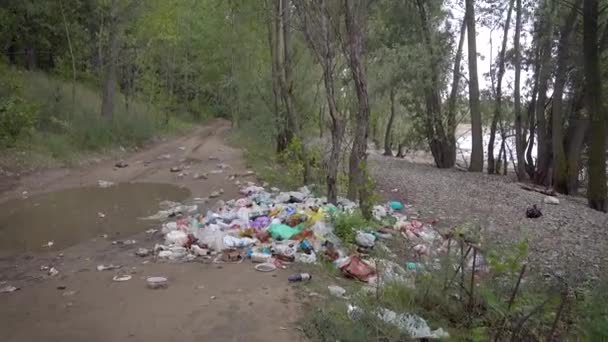 Orman yolunda büyük yasadışı çöplük. Plastik, poşet, şişe ve diğer atık bir demet çevreyi kirleten. Güzel bir kirli manzara değil, hüzünlü bir manzara.. — Stok video