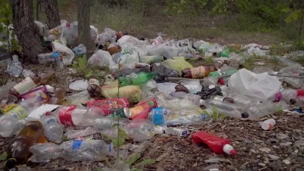 Μεγάλη παράνομη χωματερή σε μονοπάτι του δάσους. Ένα μάτσο πλαστικά, σακούλες, μπουκάλια και άλλα απόβλητα ρυπαίνει το περιβάλλον. Όχι ένα όμορφο βρώμικο τοπίο, ένα θλιβερό θέαμα. — Αρχείο Βίντεο