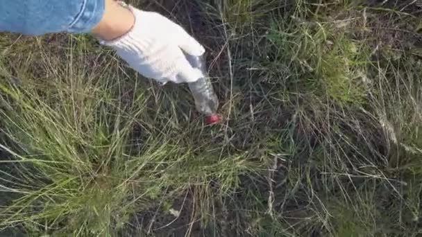 Oigenkännlig man samlar sopor som ligger på naturen. Tyvärr är en hel del sopor och föroreningar nu i skogen, strandpromenaden och naturen. Volontärer — Stockvideo