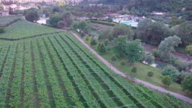 Avrupa yakın cityscape. Donanımlı kırsal, çerçeve bir bisiklet yolu, üzüm, dağ nehri.