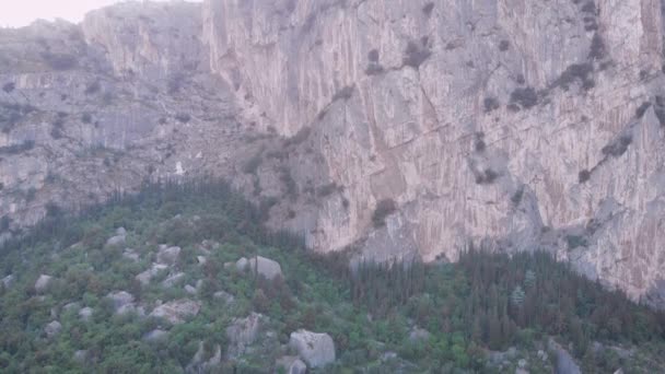 Вид с воздуха. Красивые скалистые горы. Летний горный пейзаж, камень и деревья — стоковое видео