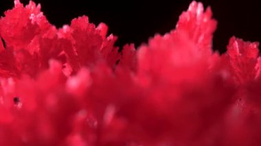 Güzel kırmızı kristaller kimyasallar ile bir ev deneyimi nin bir sonucu olarak ortaya çıktı. Kristalizasyon işlemi normal koşullarda gerçekleşti. Basit kimyasal deneyler.