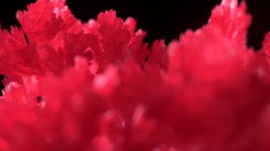 Güzel kırmızı kristaller kimyasallar ile bir ev deneyimi nin bir sonucu olarak ortaya çıktı. Kristalizasyon işlemi normal koşullarda gerçekleşti. Basit kimyasal deneyler.