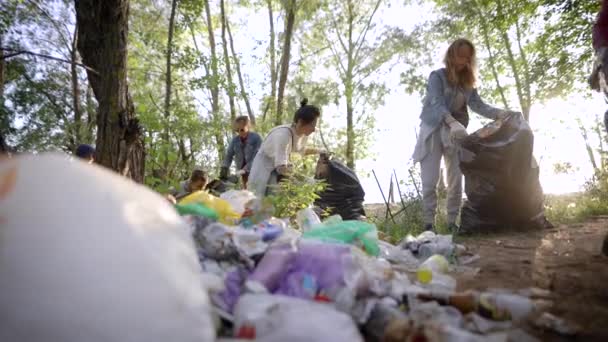 Női önkéntesek felszámolja a nagy hulladéklerakó. Az erdőben az illegális hulladéklerakó rontja a természetet és az ökológiát. Önkéntesek, hogy a világ egy tisztább hely. — Stock videók