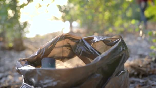 Kobiety wolontariusze wykończenie w przyrodzie. Dziewczyny umieścić duży zrzut śmieci w plastikowych toreb. Natura stała się czystsza, zanieczyszczenie zostało wyeliminowane. — Wideo stockowe