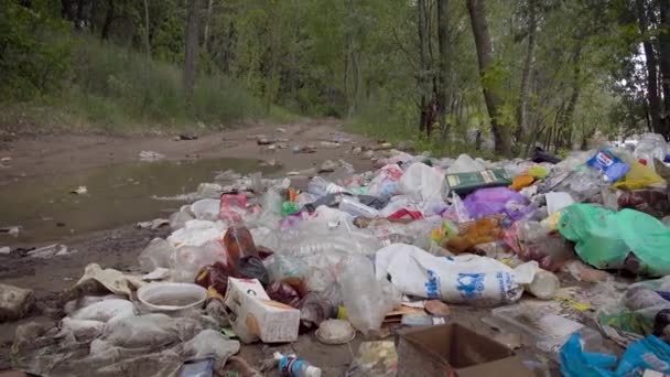 Un gran vertedero ilegal en un sendero forestal. Un montón de plástico, bolsas, botellas y otros residuos contamina el medio ambiente. No es un hermoso paisaje sucio, una triste vista . — Vídeos de Stock