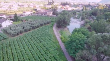 havadan görünüm. İtalya'da güzel bir yer, üzüm bağları ve bir dağ nehri yakınında bisiklet yolu. Bisikletçiler egzersiz düzenlemek.