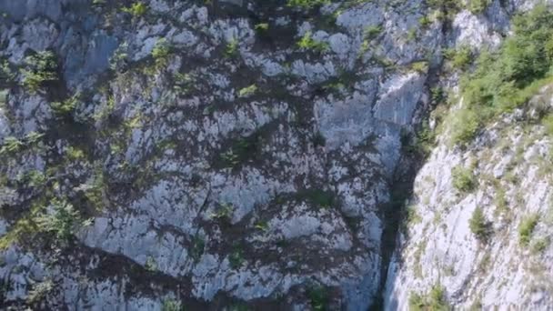 Luchtfoto. Het frame is een enorme steile klif. Prachtig berglandschap met steen en vegetatie, bomen sieren het uitzicht. — Stockvideo