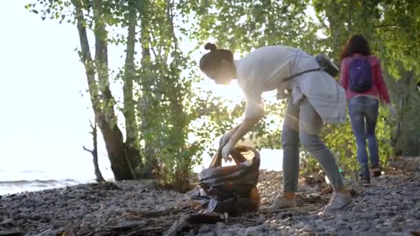 Vonzó nők takarítás a partvidék a szemetet. Az önkéntesek fekete műanyag zacskóra gyűjtjük a háztartási hulladékot. — Stock videók