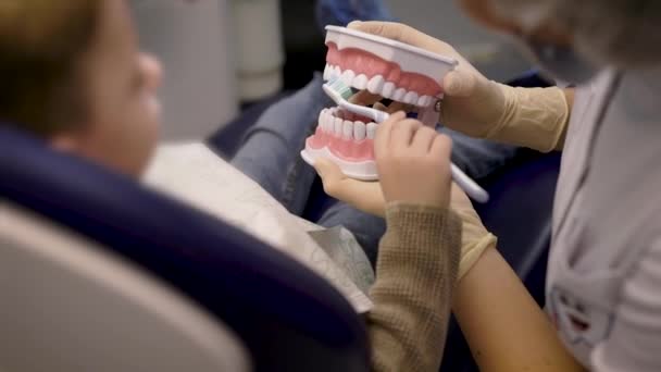 Dentista está enseñando poco paciente cómo limpiar los dientes en mandíbulas artificiales en el consultorio dental, ver detalles — Vídeo de stock