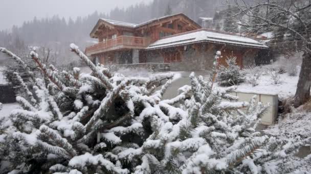 Kraftigt snöfall på landsbygden. Snö faller på grangrenar, i bakgrunden av ett vackert trähus. — Stockvideo