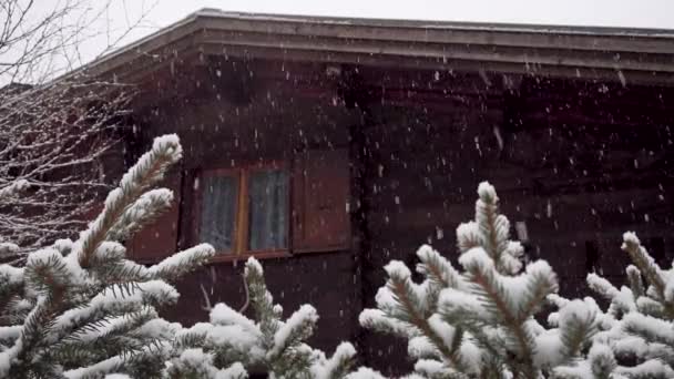 Heftiger Schneefall auf dem Land. Schnee fällt auf Fichtenzweige, im Hintergrund ein schönes Holzhaus. — Stockvideo