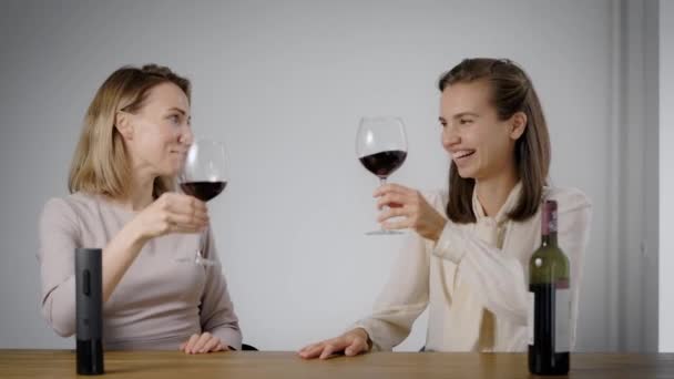 Két vonzó lány bort iszik az apartmanokban. Szőke és barna, jó csevegést egy pohár bor mellett.. — Stock videók