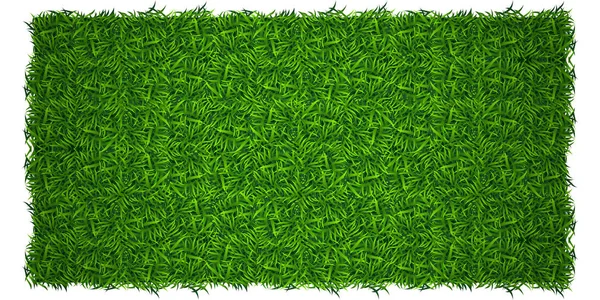 Fondo Hierba Verde Naturaleza Del Césped Textura Abstracta Del Campo — Vector de stock