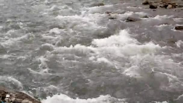 Stormy River Flows Waterfall Water Foam Thresholds — Stock Video