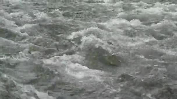 Stürmische Wellen Und Wirbel Auf Der Oberfläche Des Flusses — Stockvideo