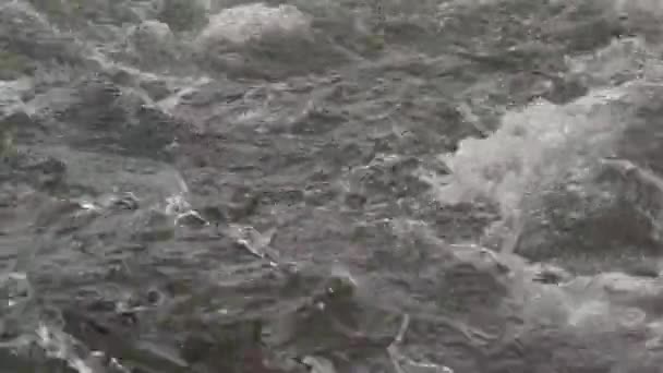 Onde Tempestose Vortici Sulla Superficie Del Fiume — Video Stock