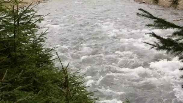 嵐の川が滝に流れている しきい値上の水蒸気 — ストック動画