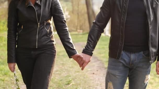 Pareja Amorosa Con Las Manos Paseo Por Los Bosques — Vídeo de stock