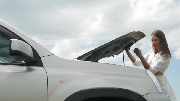 Mujeres Negocios Que Esperan Ayuda Cerca Coche Rompió Carretera Teniendo — Vídeos de Stock