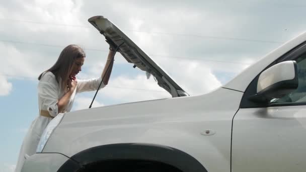 Geschäftsfrau Wartet Der Nähe Ihres Straßenrand Kaputten Autos Auf Hilfe — Stockvideo