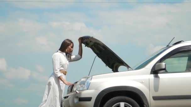 Business Woman Waiting Help Her Broken Car Road — Stock Video