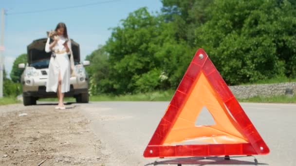 Business Woman Waits Assistance Her Car Broken Road Side Having — Stock Video