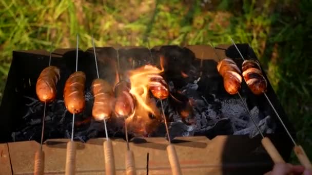 Bratwurst Sur Gril Avec Fumée Flammes — Video