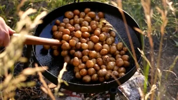 火上烤的土豆 一家人在公园里准备食物 — 图库视频影像