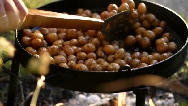 Batatas Assadas Fogo Família Prepara Comida Parque — Vídeo de Stock