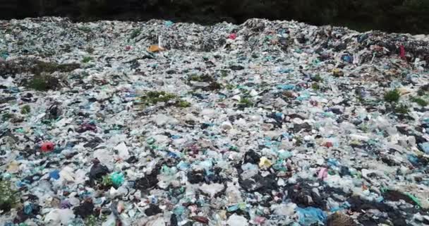 Pollution des déchets ménagers des rivières de montagne propres dans les Carpates L'Ukraine est un énorme problème pour les gens. Les travailleurs spéciaux collectent les ordures, comme un symbole de la sauvegarde de la planète Terre — Video