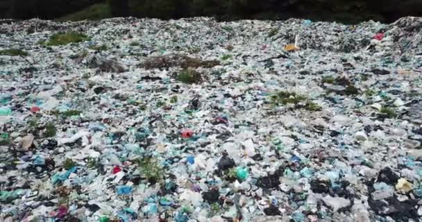 Derramó basura en la playa de la gran ciudad. Vacío utiliza botellas de plástico sucio. Sucio mar arenoso orilla del Mar Negro. Contaminación ambiental. Problema ecológico. Bokeh moviendo ondas en el fondo — Vídeo de stock