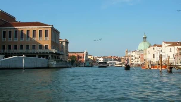 イタリアのヴェネツィアにある大聖堂 サンタ マリア デッラ サルテとグランド運河の広い景色 ヴェネツィア大運河の眺め ヴェネツィアの建築とランドマーク — ストック動画